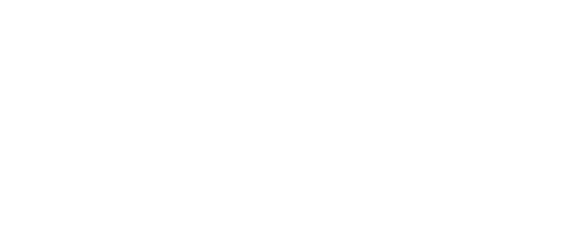 Budget Blinds