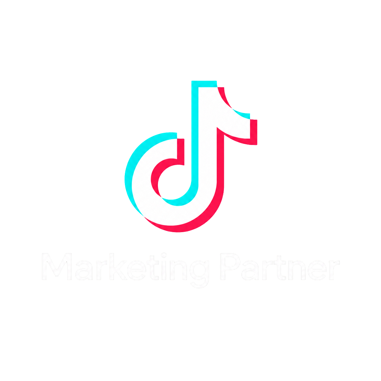 TikTok Marketing Partners