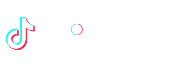 TikTok Marketing Partners